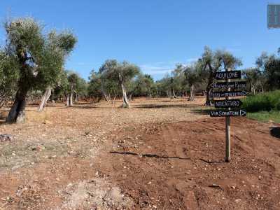 Luca tra l'altro ha costuito un cartello che d� varie indicazioni sul come raggiungere ad esempio Noicattaro o la vicina base scout dell��Aquilone�